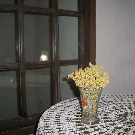 Casa rural Casa De Pueblo El Patio De Cebollas Segorbe (Sogorb)